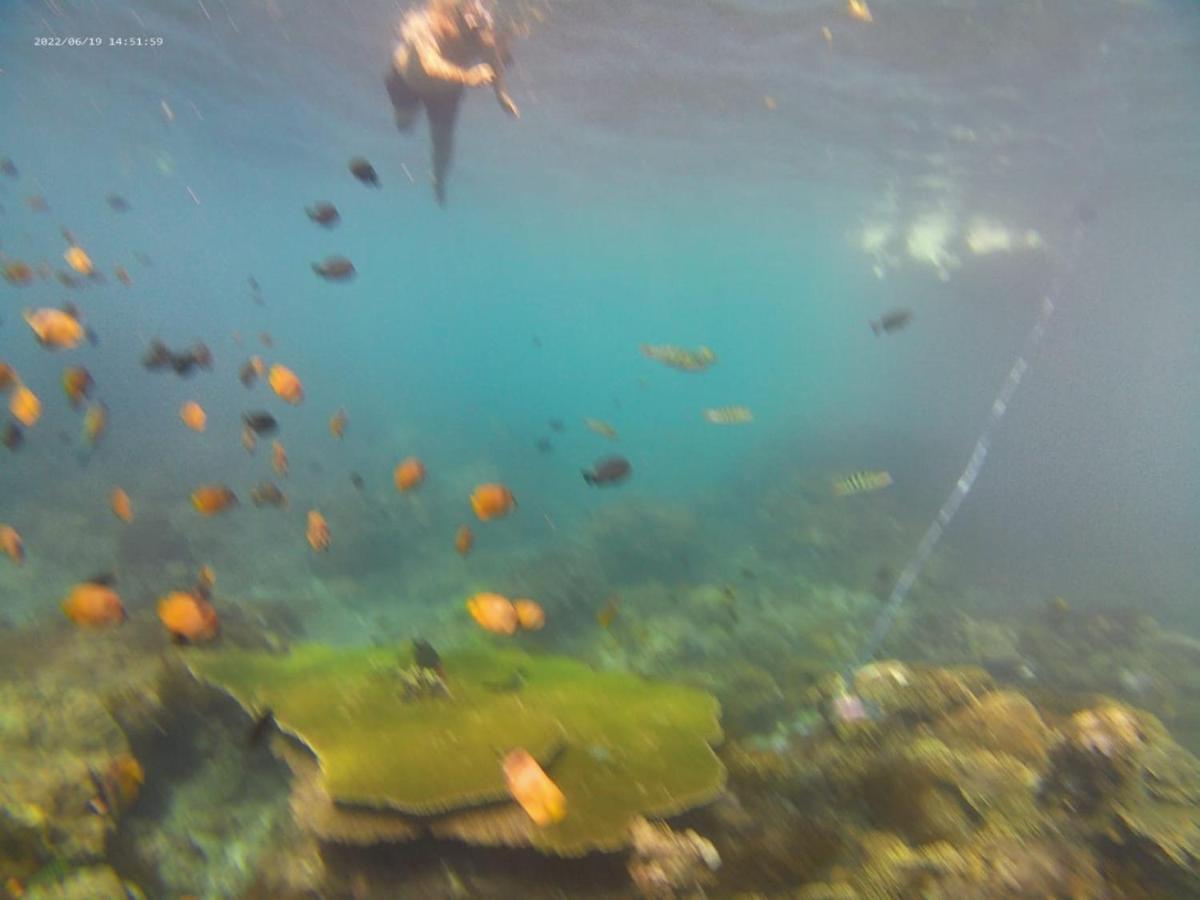 Agung Pring Homestay Batununggul Exteriör bild